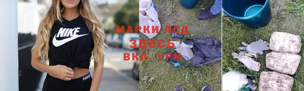 дурь Каменка