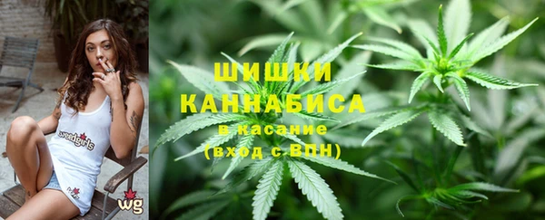 гидропоника Саяногорск