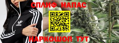 индика Ирбит
