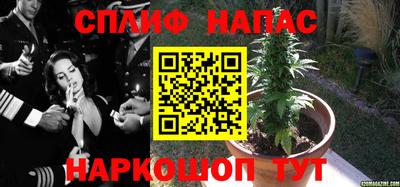 дурь Изобильный
