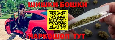 индика Ирбит