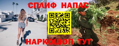 индика Ирбит