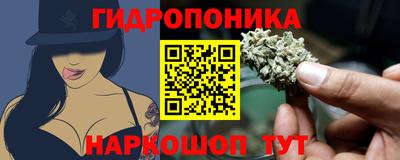 индика Ирбит