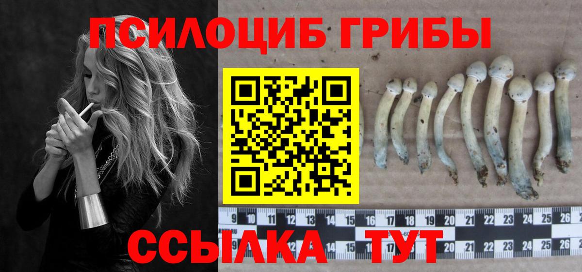 закладки  Галлюциногенные грибы ЛСД  Сокол  Вход с VPN  Галлюциногенные грибы прущие грибы 
